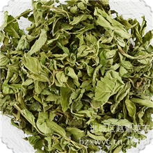 供应散装天然特级甜菊叶精选无添加甜叶菊茶甜菊叶茶各种规格