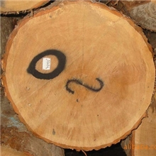 白蜡木原木，白橡木原木红橡原木