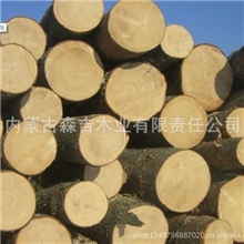 厂家批发进口俄罗斯红松原木各种规格方木烘干板材口料防腐木