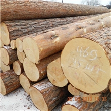 批发进口俄罗斯樟子松原木各种规格加工烘干板材口料防腐木