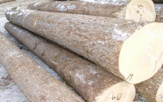 批发进口俄罗斯鱼鳞松原木各种规格方木加工烘干板材口料防腐木