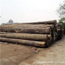 直销橄榄原木橄榄木材张家港原木原木材橄榄木