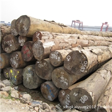 直销漆木原木漆木木材