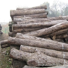 直销大叶红檀原木大叶红檀木材张家港红木非洲小叶红檀