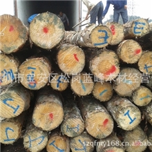 批发销售澳州松原木小径材KI级深圳松木原木价格合理