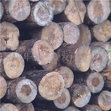 原木