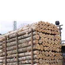 油楠木原木木材油楠木板材