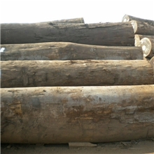 进口白宫木原木，马来西亚白宫木