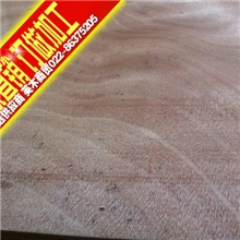 天津直销杨木胶合板包装多层板三合板等木材批发