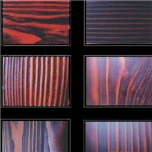 防腐木炭化木美国美松南方松波罗格凉亭花