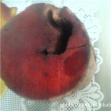 低价出售优质宝贵木材小叶紫檀木原木