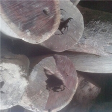 供应优质国产珍贵小叶紫檀木大直径紫檀原木10-16