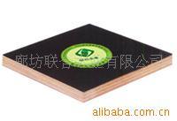 供应混凝土模板用胶合板15100656168