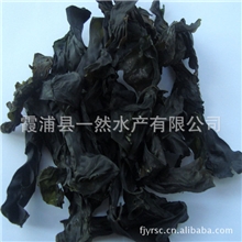 烤干海带结优质海带海带结批发霞浦海带中国海带之乡纯淡干海带结