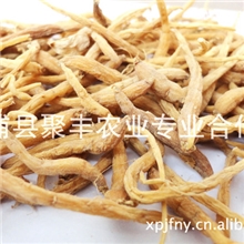 【聚丰】供应植物原药材太子参无硫磺福建太子参欢迎询价批发