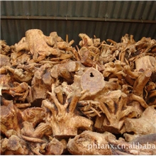 大量供应檀香木