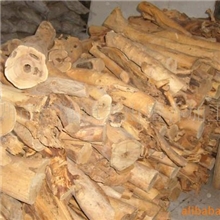 供应西澳檀香木私人货活木