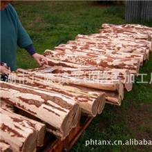 供应新到货南澳洲檀香木