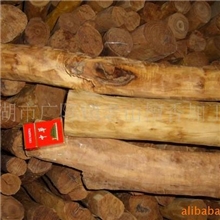 供应北澳檀香木活木去皮整枝原料