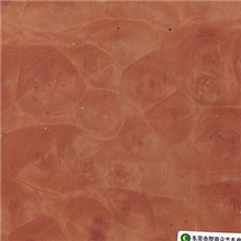 众杰供应红木树瘤饰面板家具装修材料价格