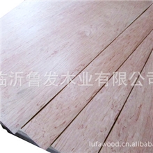 专业生产销售优质五厘板优质环保三合板