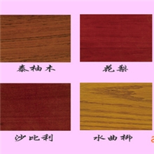 实木油漆门-烤漆门