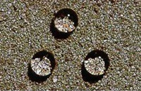 供应渗透结晶防水剂水泥砂浆防水剂中性防水剂混凝土防水剂