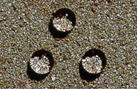 有机硅防水剂混泥土防水剂建筑防水剂山东厂家直销