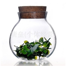 专业生产批发纯手工耐热玻璃花草茶叶罐软木塞装储物罐糖果罐