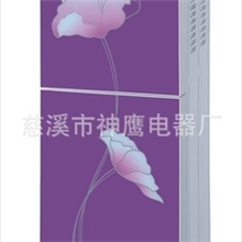 红牌116型号冷热型立式饮水机全新ABS塑料301材料加热胆厂家批发