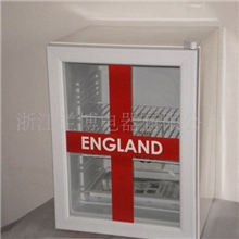 直销BC-48L电子冰箱，电子冷藏箱，展示柜