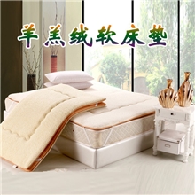 超柔加厚羊羔绒软床垫单双人榻榻米学生床褥防滑床垫批发