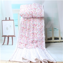 夏凉被厂家特价批发夏凉被钻石绒夏凉被轻薄夏凉被空调被1.7M