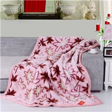 秋冬拉舍尔成人浅粉色毛毯红豆牌子毯子加厚双层拉舍尔毛毯批发