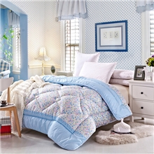 厂家直销秋冬新款加厚被舒柔被带包装加厚冬棉被芯批发正品特价