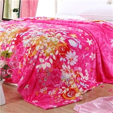 工厂现货库存处理法兰绒双面印花毯水貂绒毯云貂绒毛毯