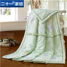 二十一顶尖夏凉被空调被夏凉被薄被子单人双人儿童质检清仓