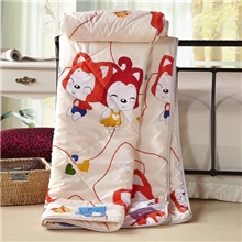 佰燕家纺/厂家直销/钻石绒夏被/空调被/仿纯棉被子/夏凉被批发