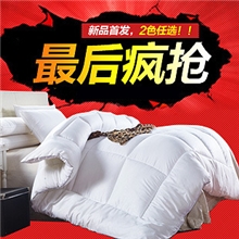 佰燕家纺/厂家直销/新款羽丝绒春秋被子/超柔磨毛冬被芯/批发