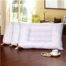 厂家直销|保健枕|护颈枕|颈椎枕|磨毛决明子枕头枕芯批发