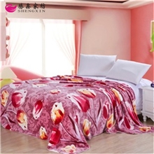 全棉活性印花法莱绒南通家纺叠石桥厂家直销床上用品礼品