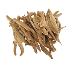 山东原产地泰山赤灵芝保健品高级送礼佳品灵芝软胶囊增强免疫力