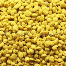 供应油菜花粉茶叶花粉