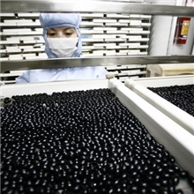 供应王浆软胶囊，蜂胶软胶囊，加工，代加工蜂产品