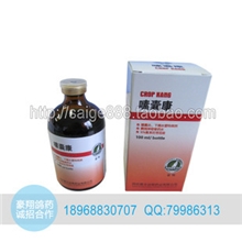 豪翔鸽药信鸽用品鸽子药嗉囊康100ml/瓶