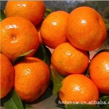 【厂家直销】低价供应新橙皮甙95%