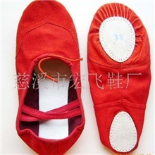 供应舞蹈鞋,练功鞋，教师鞋，爵士靴