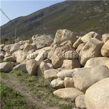 【厂家直销】优质供应纯天然大型鹅卵石公分鹅卵石