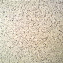 随州白麻黄金麻