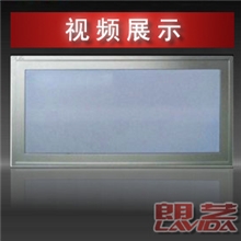 [朗艺]集成吊顶厨卫照明灯长照明55W110W精品